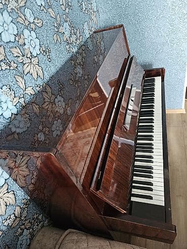 nerd satilir: Piano, Belarus, Akustik — 5
