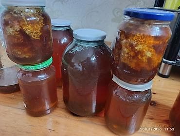 karpat ana arı: Tam təbii bal Dağ və meşə balı var Şəki balıdır Şabalıd cökə — 2