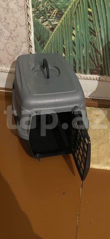 купить домик для кота: Paket şəklində pişik üçün tam aksesuar dəsti. Dəstərin tərkibi: - — 3