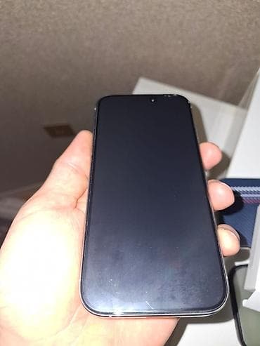 IPhone 16 Pro, 256 GB, Gümüşü, Face ID