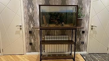 Digər heyvanlar: Akvaryum və stend dəsti - Geniş şüşə akvaryum: düz bucaqlı forma, ön — 2