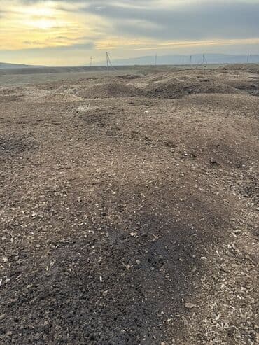 pəncərə toru: Təbii Quş gübrəsi - Məhsul: Quş Peyini - İstifadə sahələri: Tərəvəz — 6