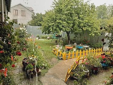 дача в баку аренда: 8 м², 3 комнаты, Газ, Электричество, Водопровод — 3