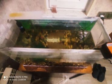 ucuz it yemleri: Dördbucaq akvarium, Balıqlarla birlikdə, 75 l — 6