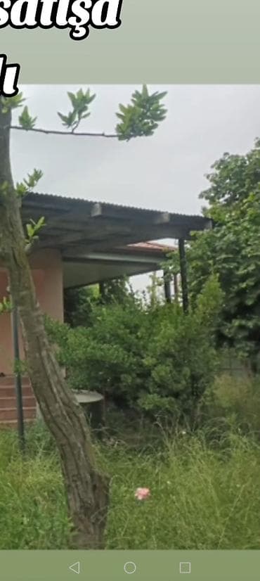 Bağ evlərinin satışı: Bakı, 15000 kv. m, 3 otaqlı, Hovuzsuz, Qaz, İşıq, Su — 2