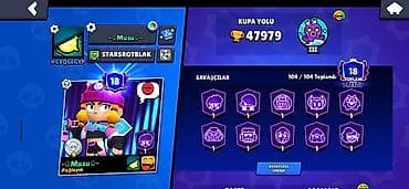 Brawl Stars oyunu üçün inkişaf etmiş hesab - Kupa yolu: 47 979 -
