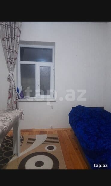 bine atciliqda kiraye ev: Binə 2 otaqlı, 54 kv. m, Kredit yoxdur, Yeni təmirli — 4