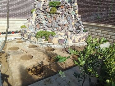 ищу работу садовник на дачу: Bağban xidməti qazon biçmək ağacların biçilməsi budanması — 8