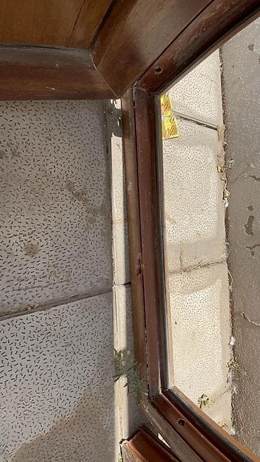 plastik qutu: - Material: tam taxta (təbii ağac teksturası, isti qəhvəyi ton) - — 3