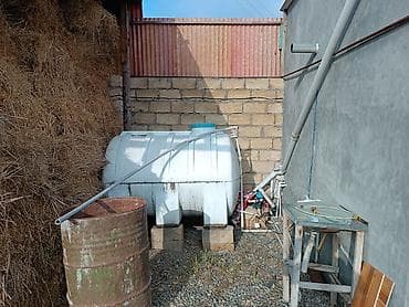 rayon: 25 sot, Kənd təsərrüfatı, Mülkiyyətçi, Kupça (Çıxarış) — 6