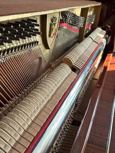 Fleytalar: Piano, Petrof, Akustik — 3