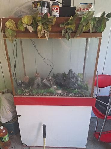 akvaryum: Dördbucaq akvarium, Boş, 100 l, Ünvandan götürmə — 2