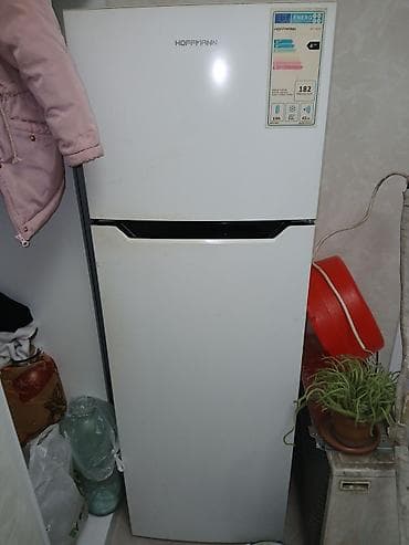 xaladenik ev: 2 qapılı Hoffman Soyuducu Satılır, rəng - Ağ — 1