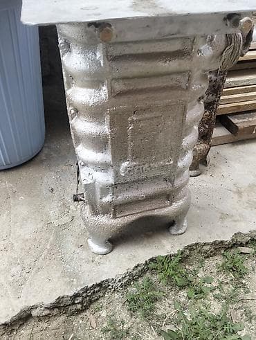 Саженцы растений: Ceyran peçi satılır — 1