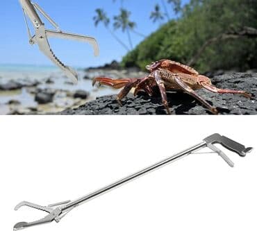 6 cı sinif biologiya metodik vesait: İzahat 1. Paslanmaz polad materi̇al: balıq, xərçəng, ilan 🐍 krab — 2