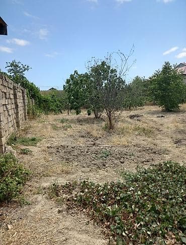 ilkin odenis 7000 azn evler: 5 sot, Tikinti, Kupça (Çıxarış) — 2