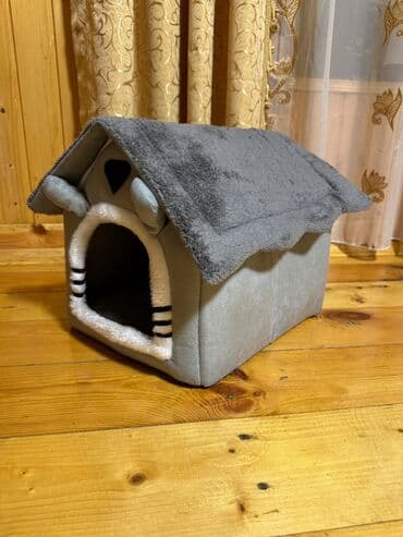 ən şirin pişiklər: Şotland yastı qulaq, Erkək, Yaxşı əllərə, Ünvandan götürmə — 6