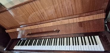 boss pedallar: Piano, Belarus, Akustik, İşlənmiş, Ünvandan götürmə — 6