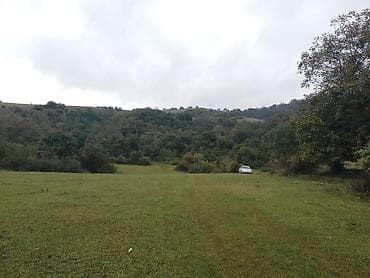 torpak: 176 sot, Kənd təsərrüfatı, Mülkiyyətçi, Kupça (Çıxarış) — 2