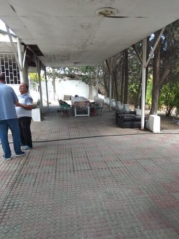 kiridit ev: Sahəsi geniş, yaşıllaşdırılmış həyəti olan bina. Həyətdə ağaclar — 10