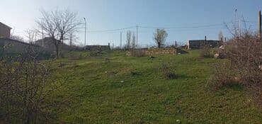kirayə evlər 2024 bakı: 8 sot, Kupça (Çıxarış) — 8