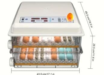 inkubator satisi: Çin, Tam avtomat — 1