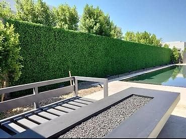 suni qazon: Məhsul: Süni ot örtüyü (rulon) Təsvir: - Təbii çəmən görünüşlü — 9