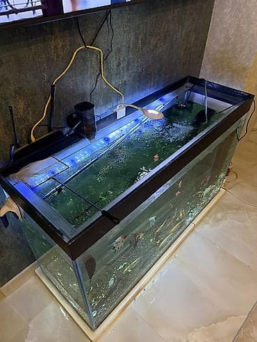 Böyük həcmli şüşə akvarium 350 litr– tam işlək komplekt — 6