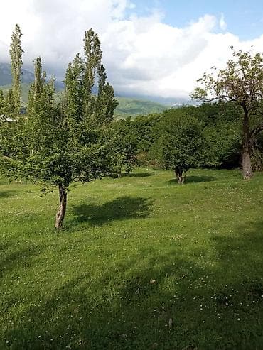 obyekt satilir: 60 sot, Kənd təsərrüfatı, Mülkiyyətçi, Kupça (Çıxarış) — 4