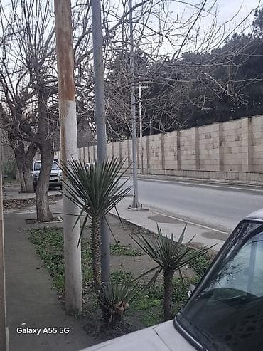 ramanada torpaq satisi: İcarəyə obyekt yeri - Məkan: Saray qəsəbəsi, internata yaxın, yol — 4