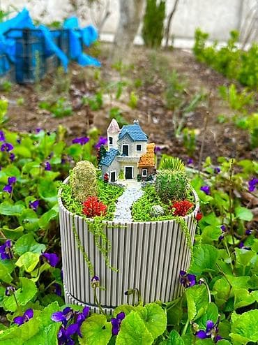 dəmir dekor: Miniatür sukulent terrarium – dekorativ kompozisiya - Tərkib — 1