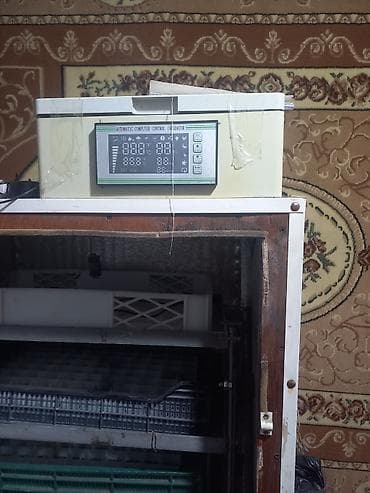 hava kompresör: Tam avtomat — 2