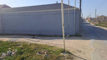 xacmaz torpaq bazarında: 8 sot, Barter mümkündür, Bələdiyyə — 2