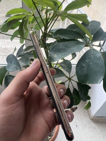 Фото и видеокамеры: IPhone Xs Max, 64 ГБ, Золотой, Face ID — 2