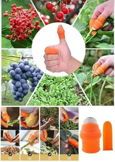 elcin: Praktik Baş Barmağın Qoruyucu Əlcəyi Tərəvəz Meyvə Soyan Kəsmə Soyucu — 5