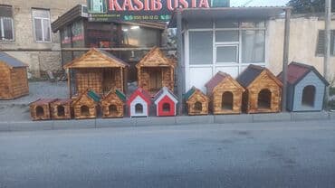 pişik yuvaları: Yuvalar — 4