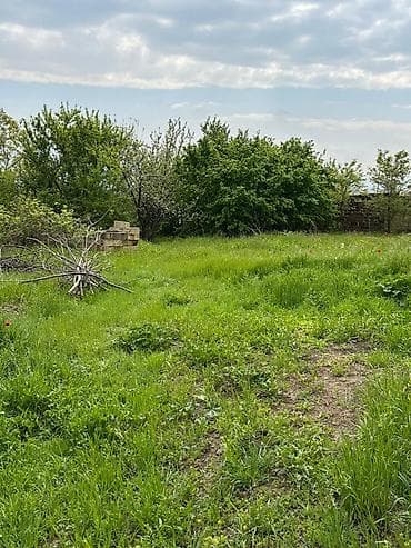 sabuncu torpaq: 32 sot, Tikinti, Mülkiyyətçi, Kupça (Çıxarış) — 10