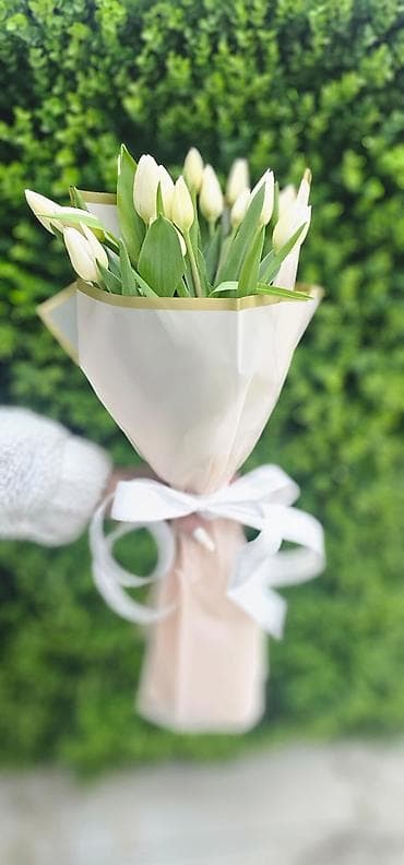 гул дасталар: Ağ, sarı və qırmızı rəng çalarlarında tülpan buketləri. - Növlər — 1