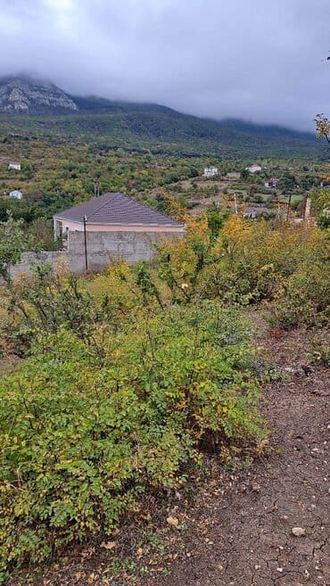 şabran torpaq: 10 соток, Купчая — 1