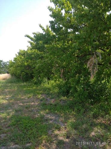 30 mine evler: 240 sot — 7