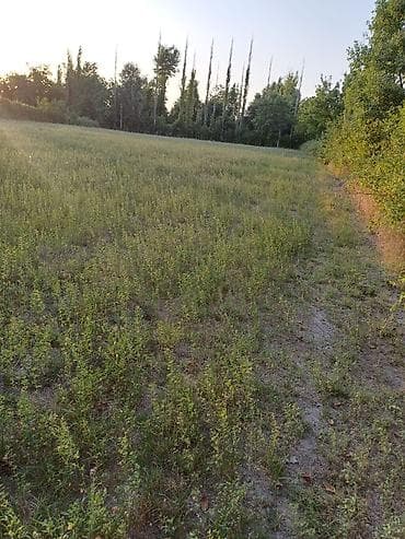 1 sot nece kvadrat metrdir: 80 sot, Biznes üçün, Mülkiyyətçi, Kupça (Çıxarış) — 10