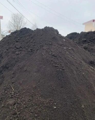 arpa toxumu satışı: Məhsul: Qaratorpaq (çalarlı qara torpaq, humusla zəngin) Təsvir: - — 4