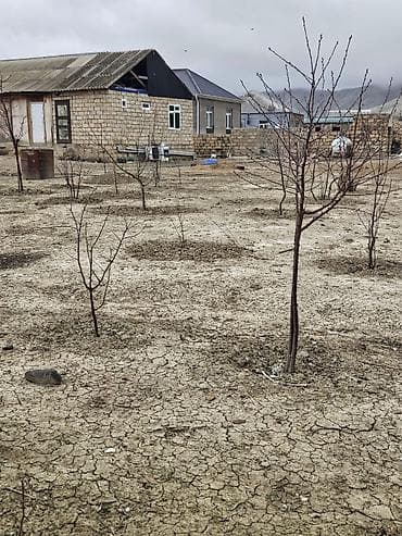 Həyətyanı torpaq sahəsi və tikili Evin yarı hissəsi daş, yarı hissə