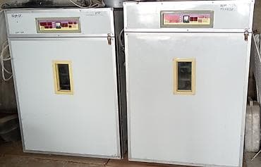 incubator cuceleri: 1500 yumurta, Türkiyə, Tam avtomat, Bütün növ quşlaq üçün, Zəmanət ilə — 3