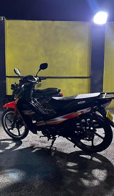 ses bogucu moto: 80 sm3 — 1