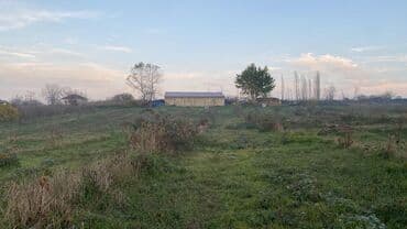 sumqayıt heyet evi: Ünvan: Qusar şəhəri Ləyər kəndi (ləzgi ləyər) 1hk 68 sot bağ yeri — 32