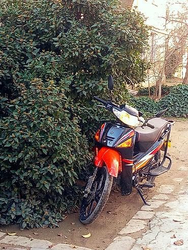 qalmaq serti ile mopedler: Moped/skutere bənzər yüngül motosiklet – şəhər içi rahat və qənaətcil — 2