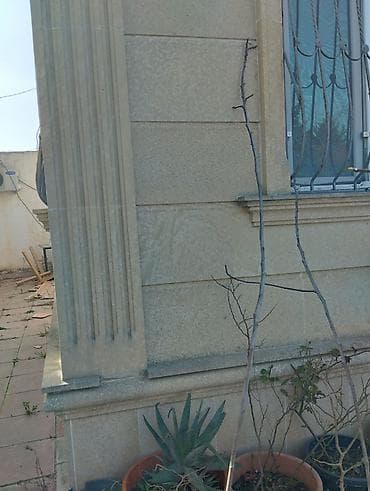 Baklar və çənlər: Məhsul: Çubuq dayaq dəsti – sarmaşıq və dırmaşan bitkilər üçün — 4