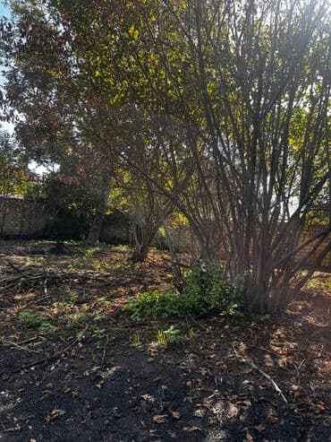 ferma icarəyə verilir: 13 sot, Kənd təsərrüfatı, Mülkiyyətçi, Kupça (Çıxarış) — 4