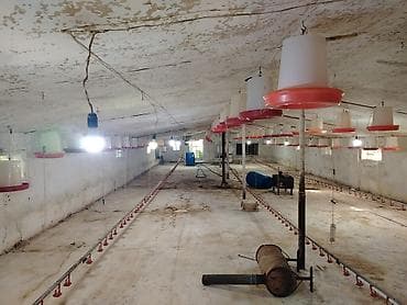 Broylər/quşçuluq ferması üçün avadanlıq komplekti. Təsərrüfat üçün — 9